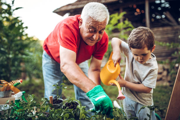 An older man and a young boy gardening together